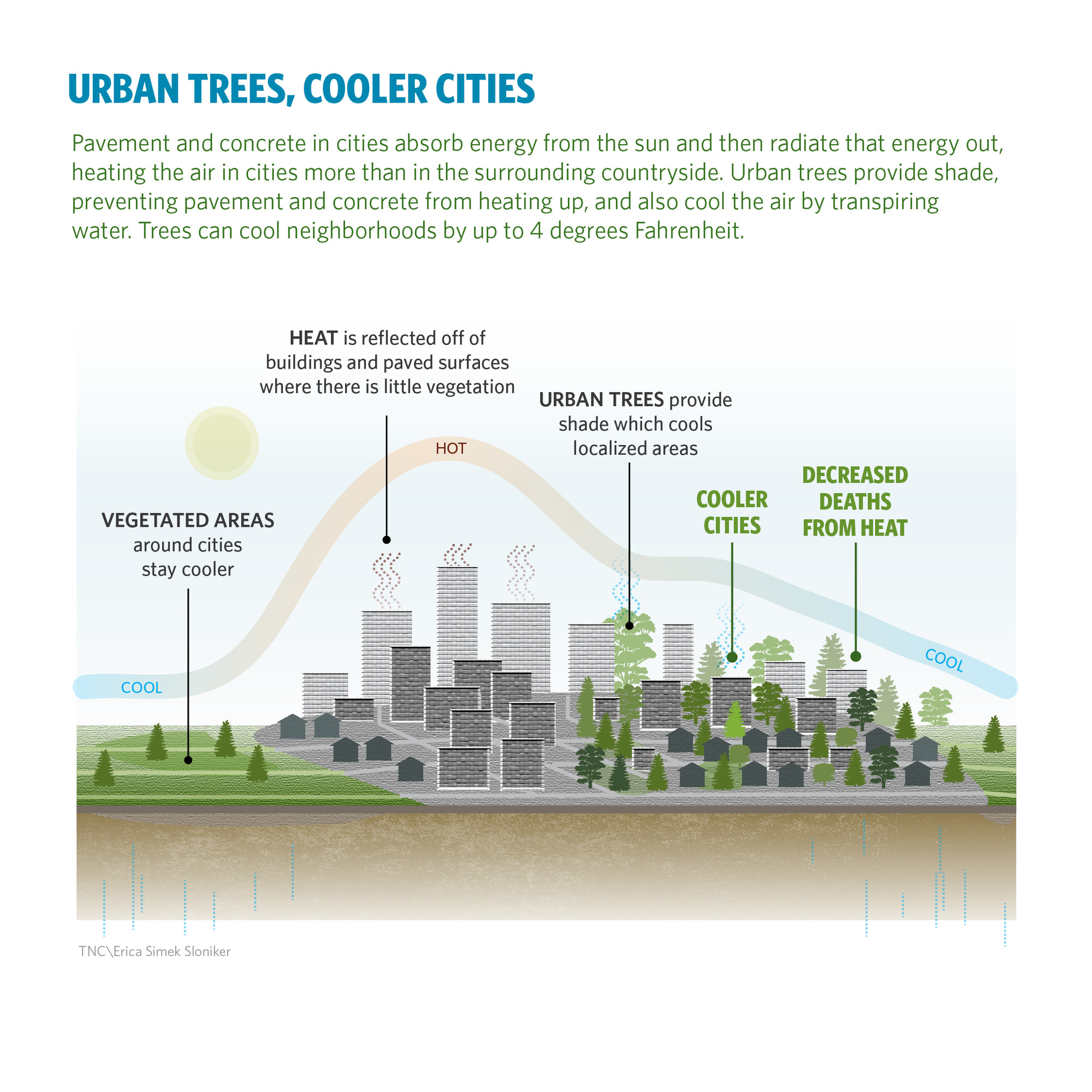 Planting Healthy Air: A Natural Solution to Address Pollution and Heat