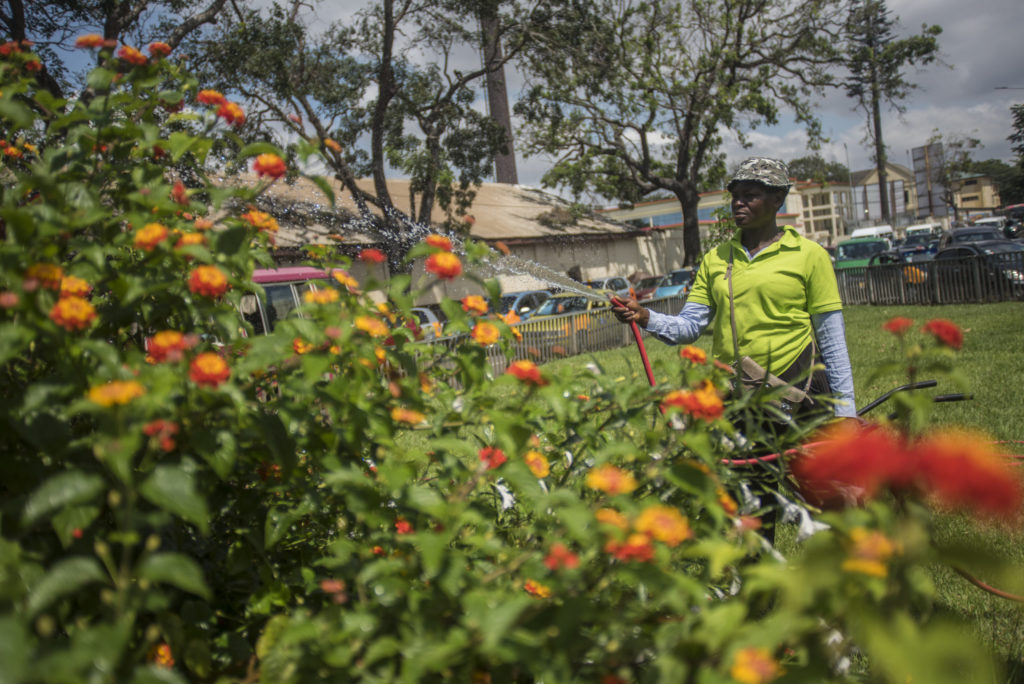 Un employé de l'Assemblée métropolitaine d'Accra arrose des fleurs