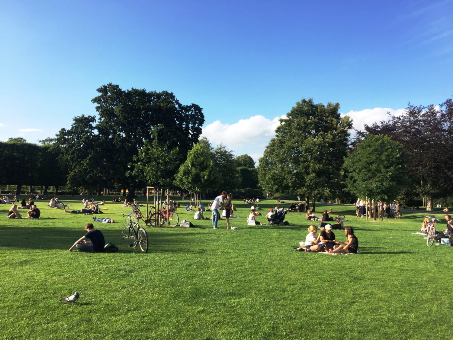 Städtische Parkszene, Kopenhagen