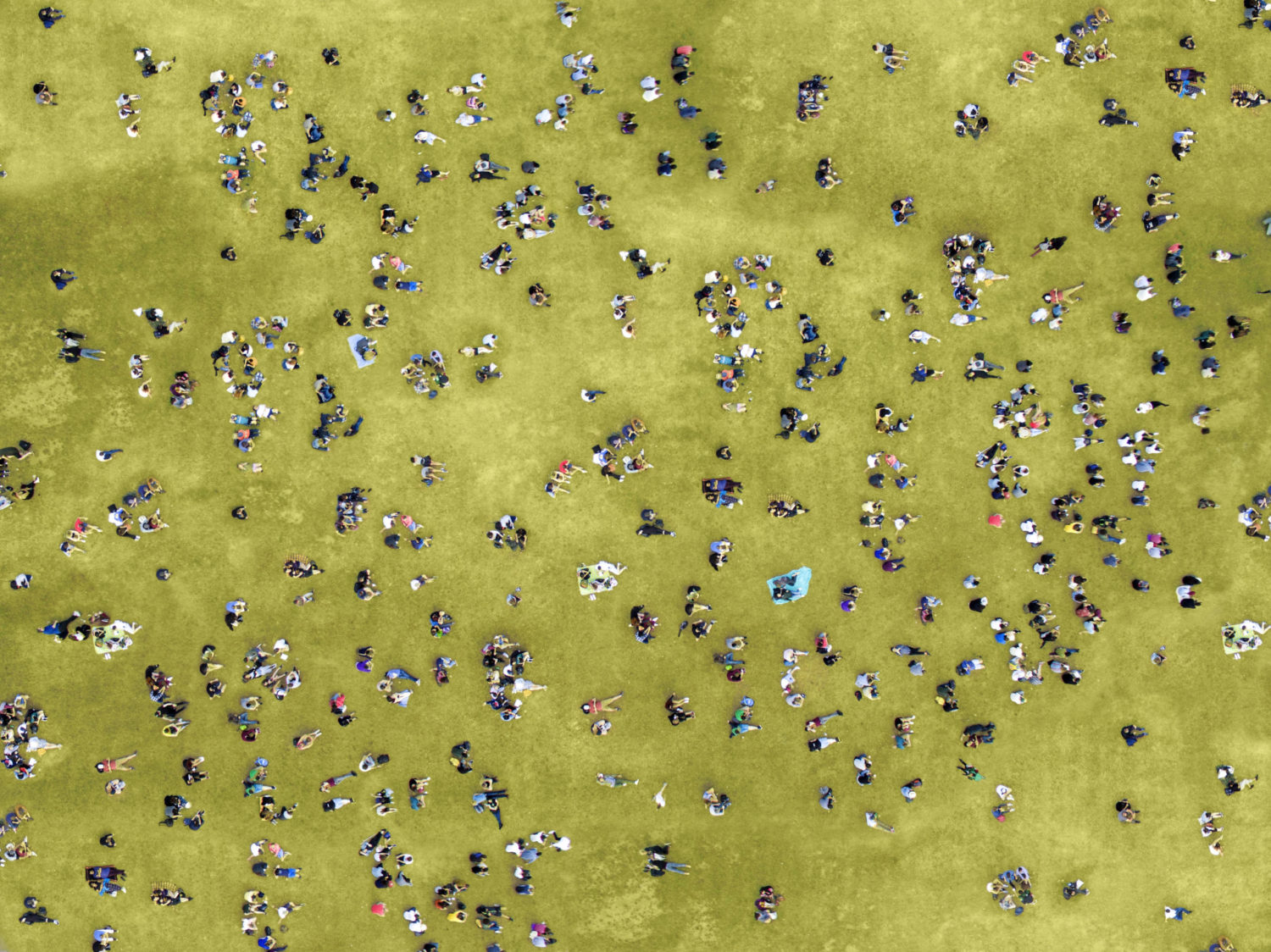 Aerial view of people sunbathing in Central Park