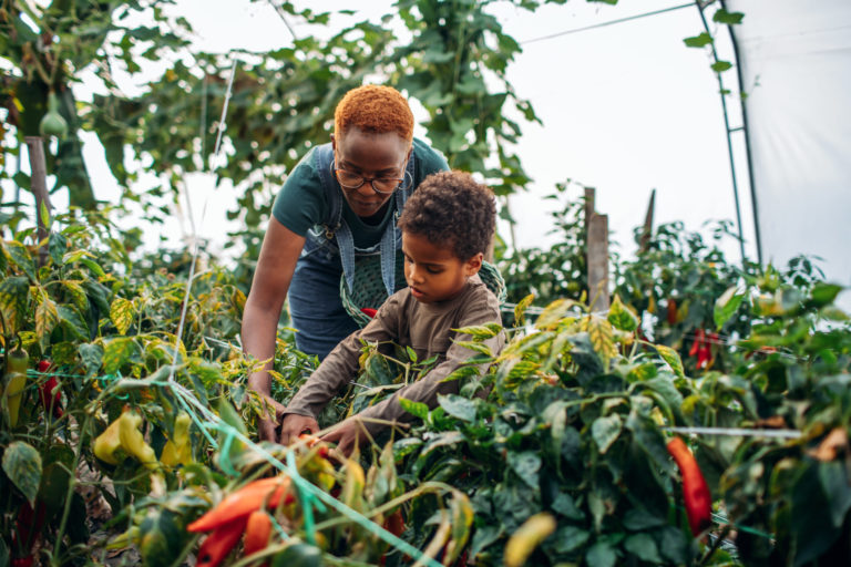 Little boy and his mother working in their greenhouse.