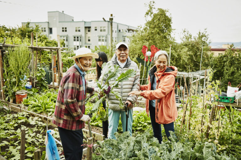 Washington D.C.: community garden