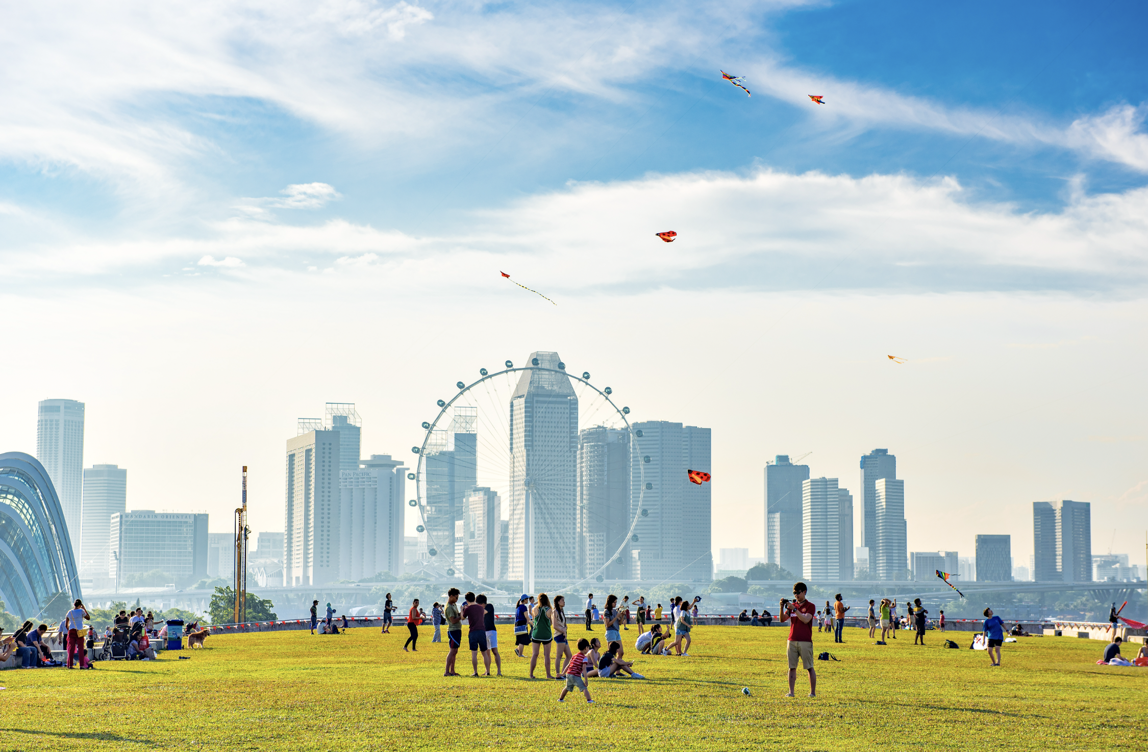 C40 and Google launch 24/7 Carbon-Free Energy for Cities programme - Vimarsana News