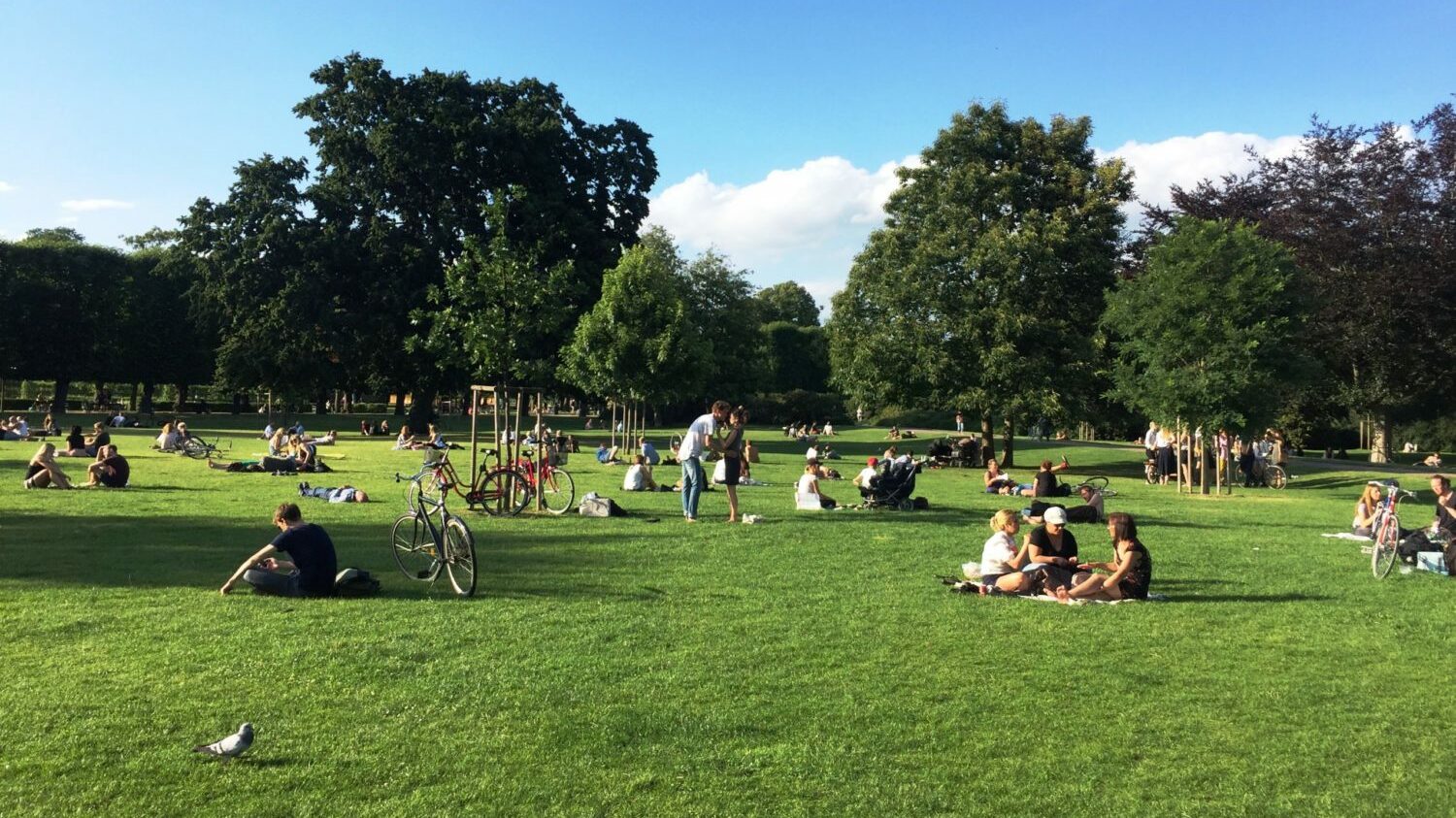 Urban Park Scene, Copenhagen