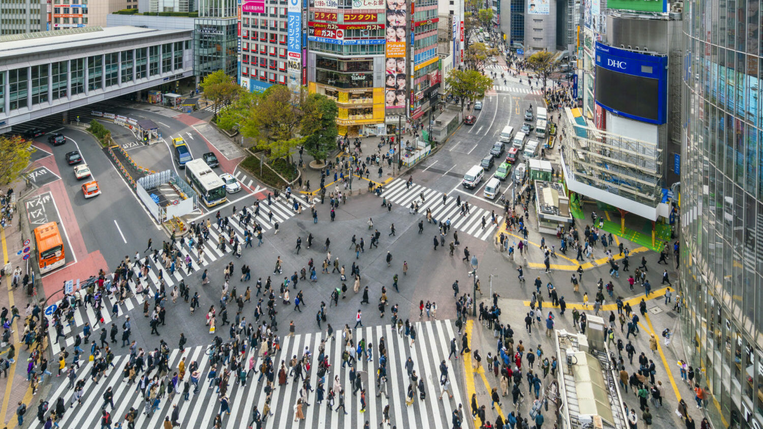 Tokyo: Pedestrian crowd at Shibuya crossing