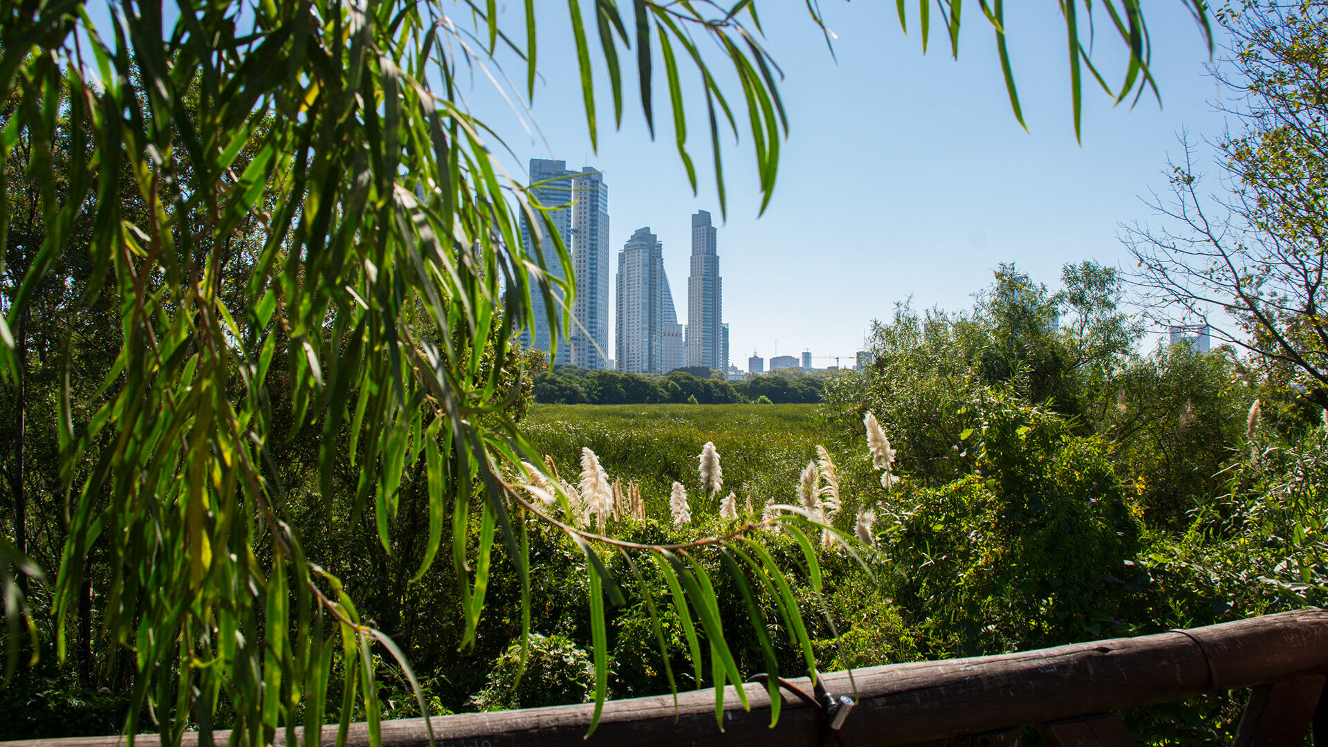 Ökologisches Reservat Costanera Sur. © Die Stadt Buenos Aires