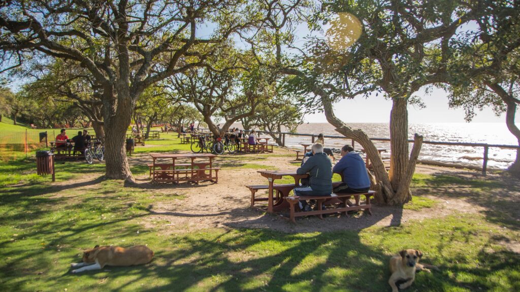 Ökologisches Reservat Costanera Sur. © Die Stadt Buenos Aires