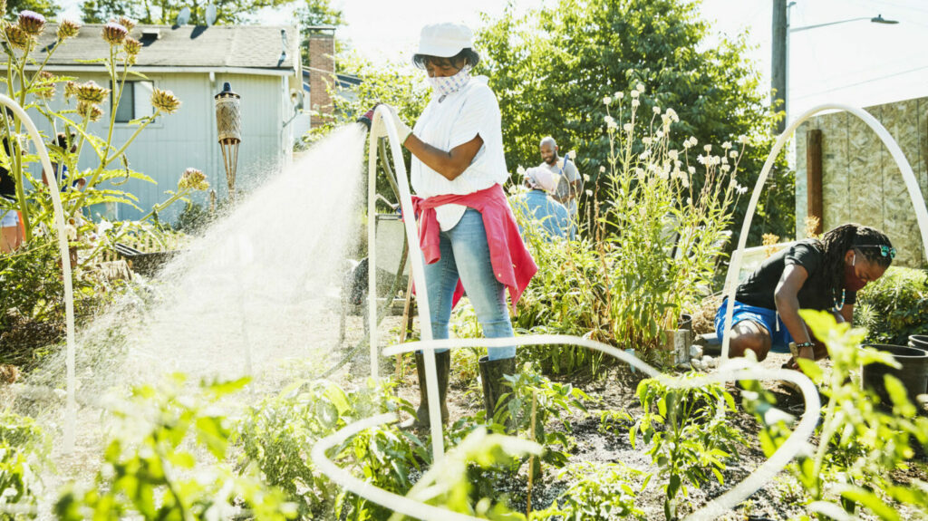 Senior woman watering plants while working with friends on urban garden