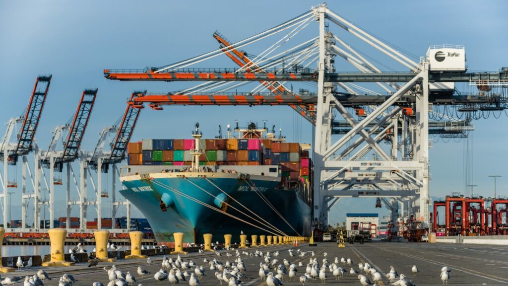 Image shows a cargo ship being loaded with shipping containers at the Port of Los Angeles. Seagulls are pictured in foreground standing on the harbourside.