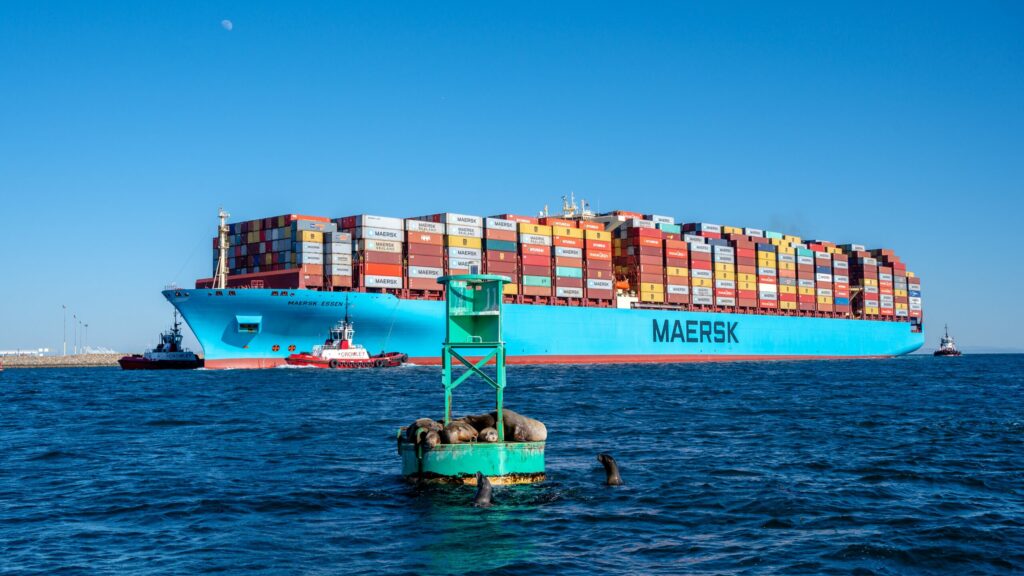 A picture of a cargo ship on the sea beside the Port of Los Angeles. The cargo ship is loaded with shipping containers and is accompanied by three smaller guiding boats. In the foreground of the picture, a group of seals are swimming besides and resting on top of a green buoy.