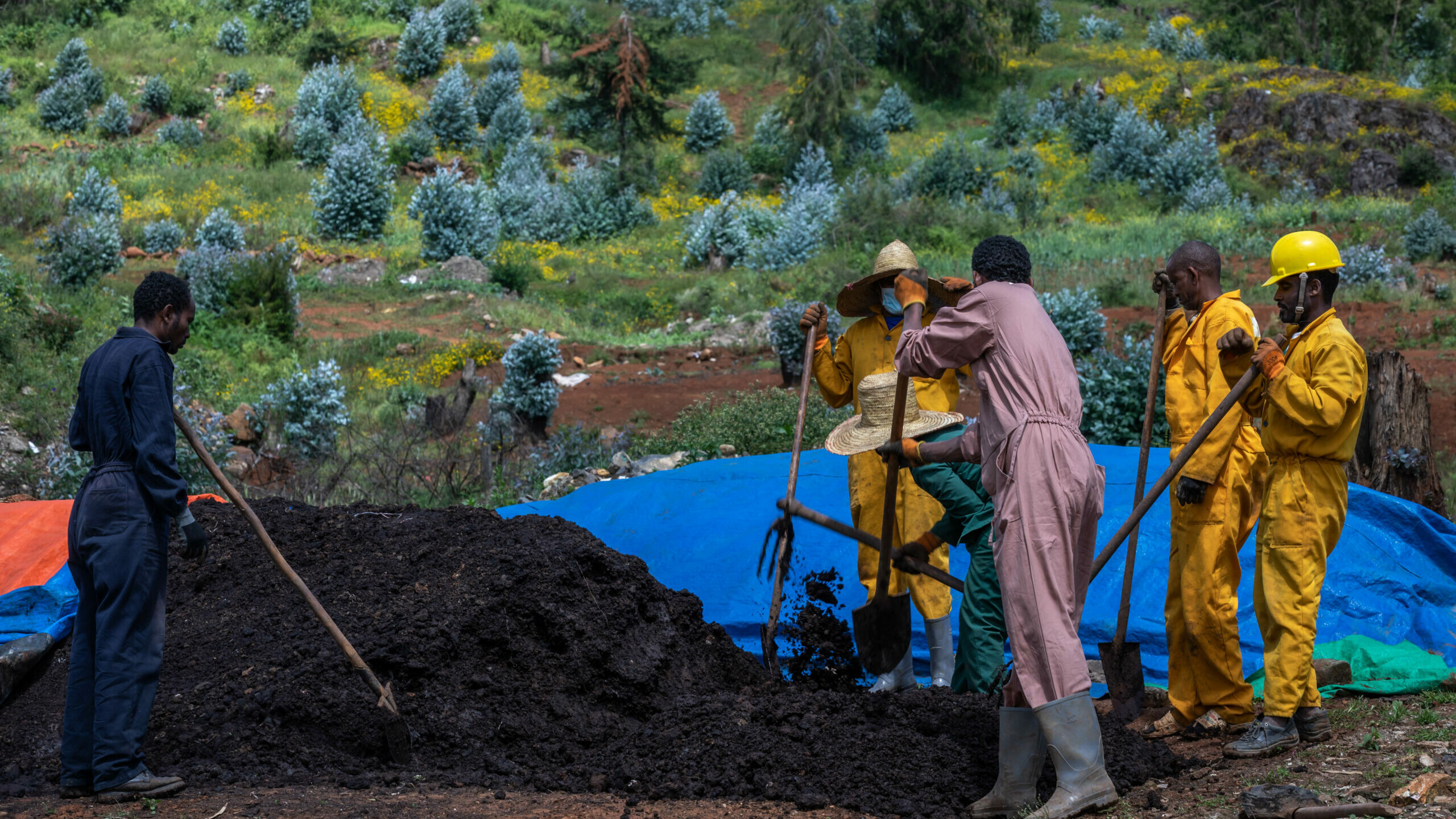 African Mayors’ Call to Action C40 Cities