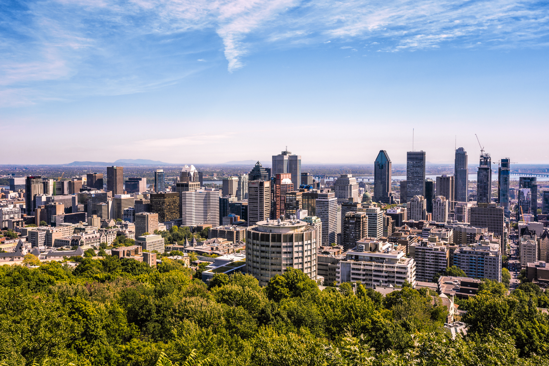 How nature is combatting the climate crisis in cities - Vimarsana News