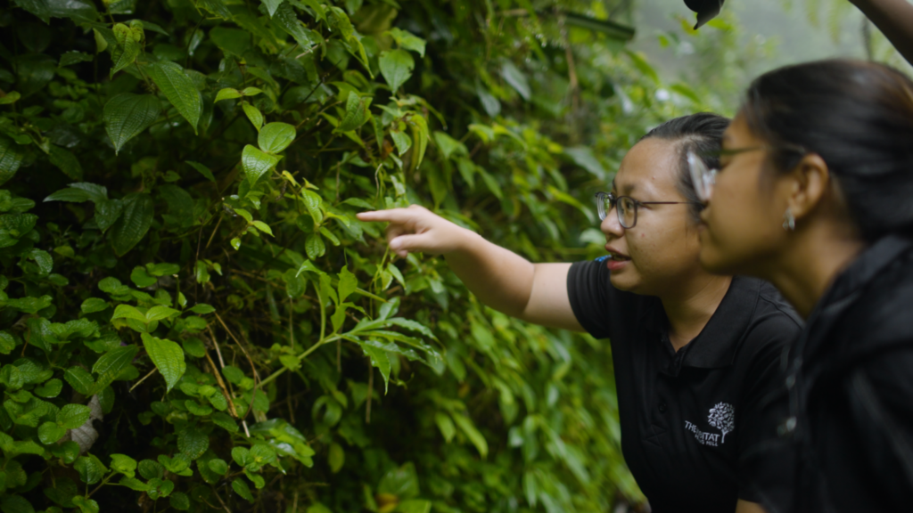 Sur la photo: la maison bien-aimée de Corina à Penang a connu des inondations, des glissements de terrain et une chaleur insupportable. Un programme exploitant le pouvoir de la nature lui donne l'espoir d'un climat plus calme. Présenté dans la série Transforming Cities produite par BBC StoryWorks pour C40 Villes.