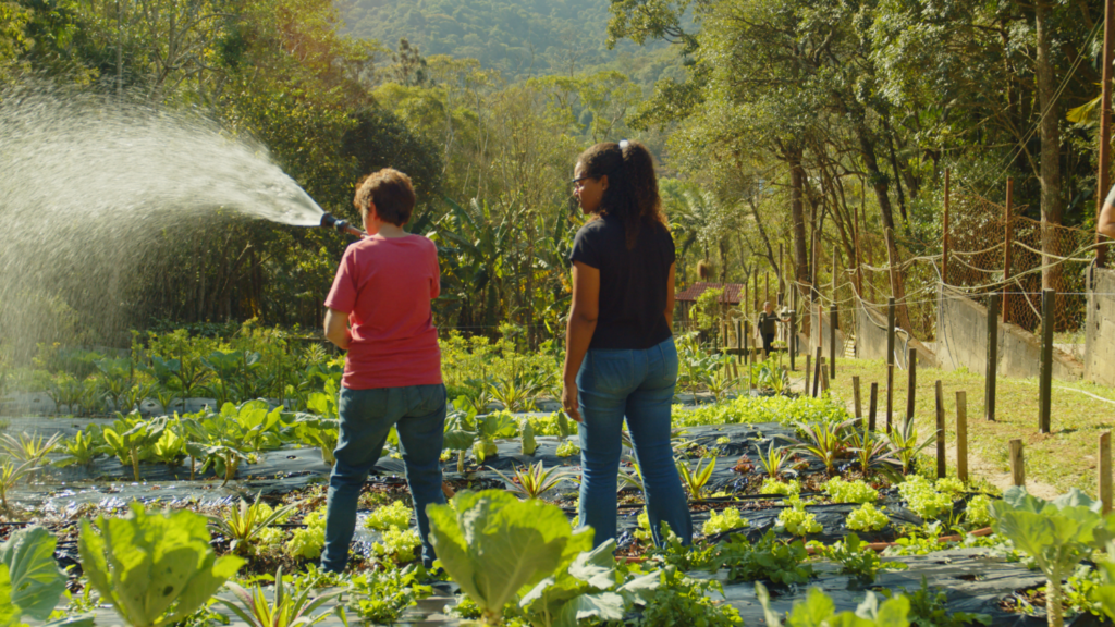 À São Paulo, Bernadete fait partie d'une initiative qui relie les agriculteurs aux systèmes de culture et aux acheteurs durables - pour nourrir les habitants et maintenir vivante la culture alimentaire locale. Présenté dans la série Transforming Cities produite par BBC StoryWorks pour C40 Villes.