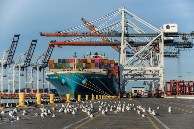 A photo showing the Port of Los Angeles and a cargo ship loaded with shipping containers on the water. Birds are pictured in the foreground.