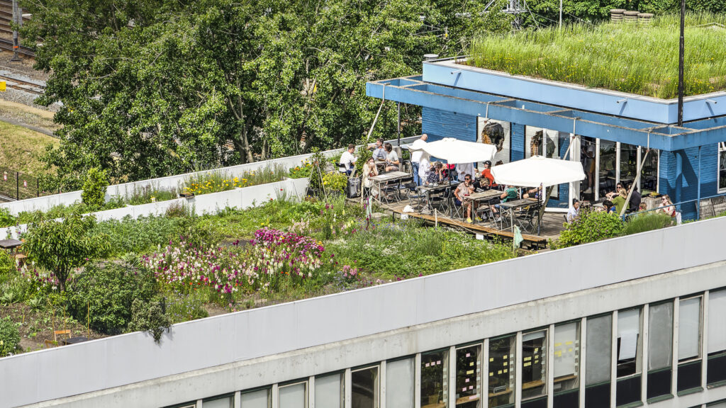 Rotterdam, The Netherlands, June 2, 2019: section of the Dakakker (Rooftop Field) with a flower garden and a cafe on top of a 1960's office building