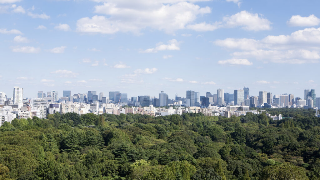 A city view of the business district with skyscrapers, there is a green forest of the park in front of it.