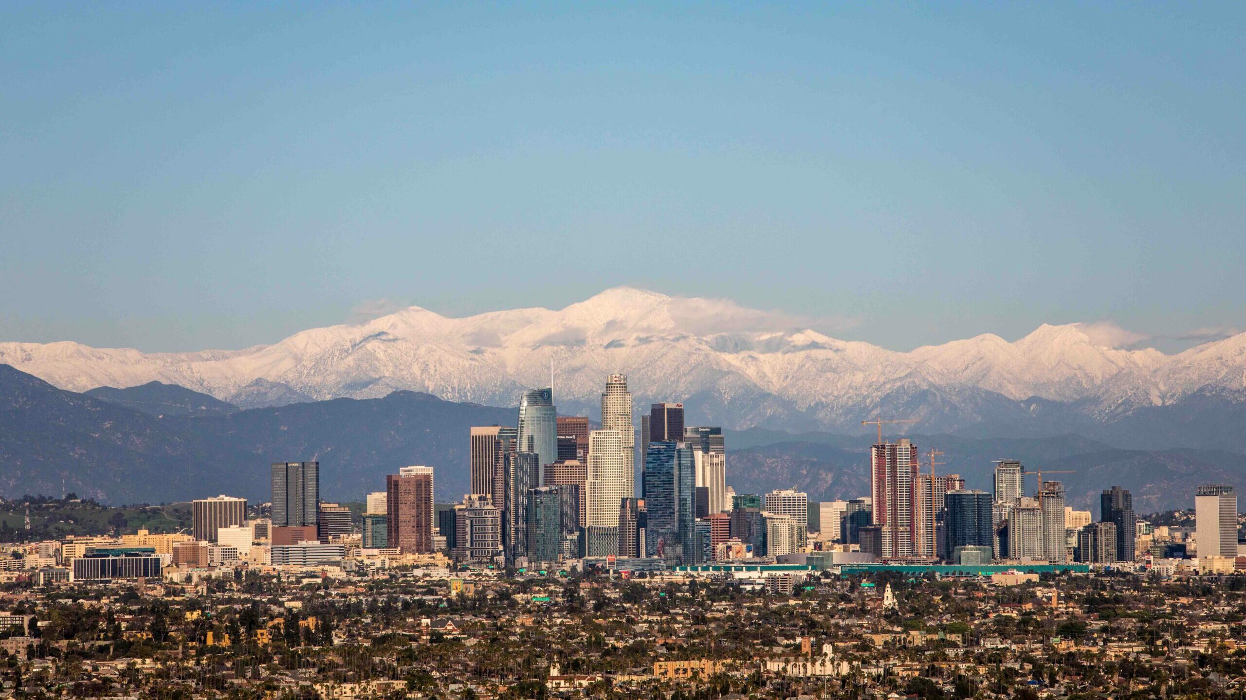 Los Angeles skyline showing trees in the foreground, skyscrapers in the mid-view and mountains in the background.
