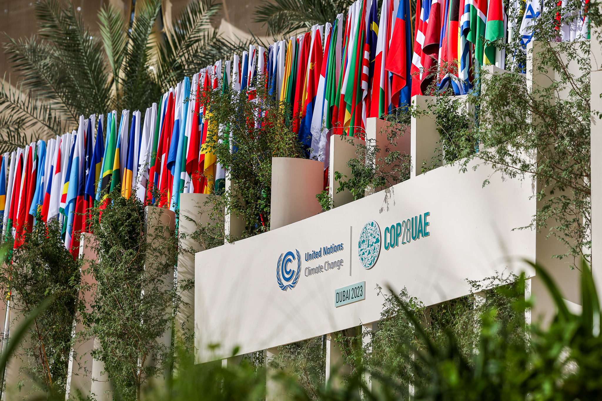 General view of Al Wasl during the UN Climate Change Conference COP28 at Expo City Dubai on November 30, 2023, in Dubai, United Arab Emirates.